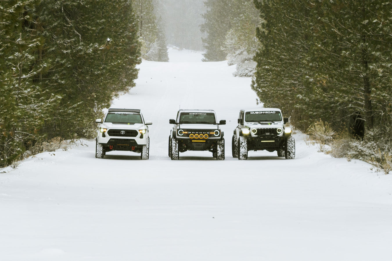 Black Friday / Cyber Monday Sale