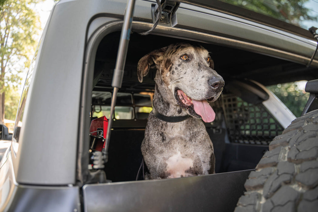 Gmc terrain dog barrier hotsell