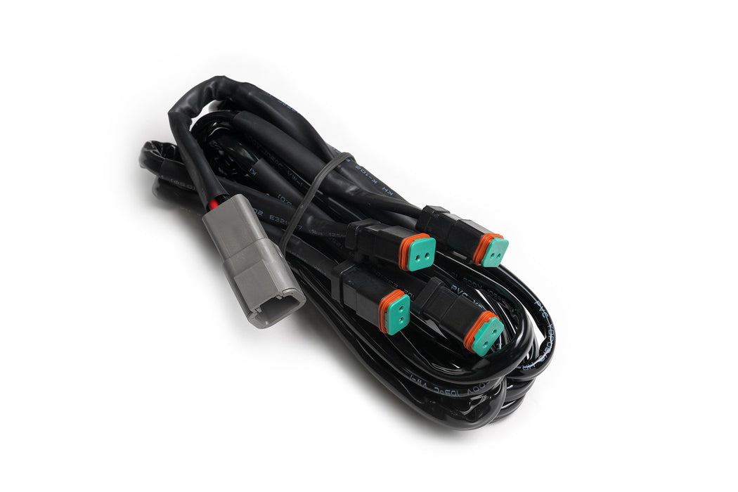4-Way 1-DTP to 4-DTP Plug Harness