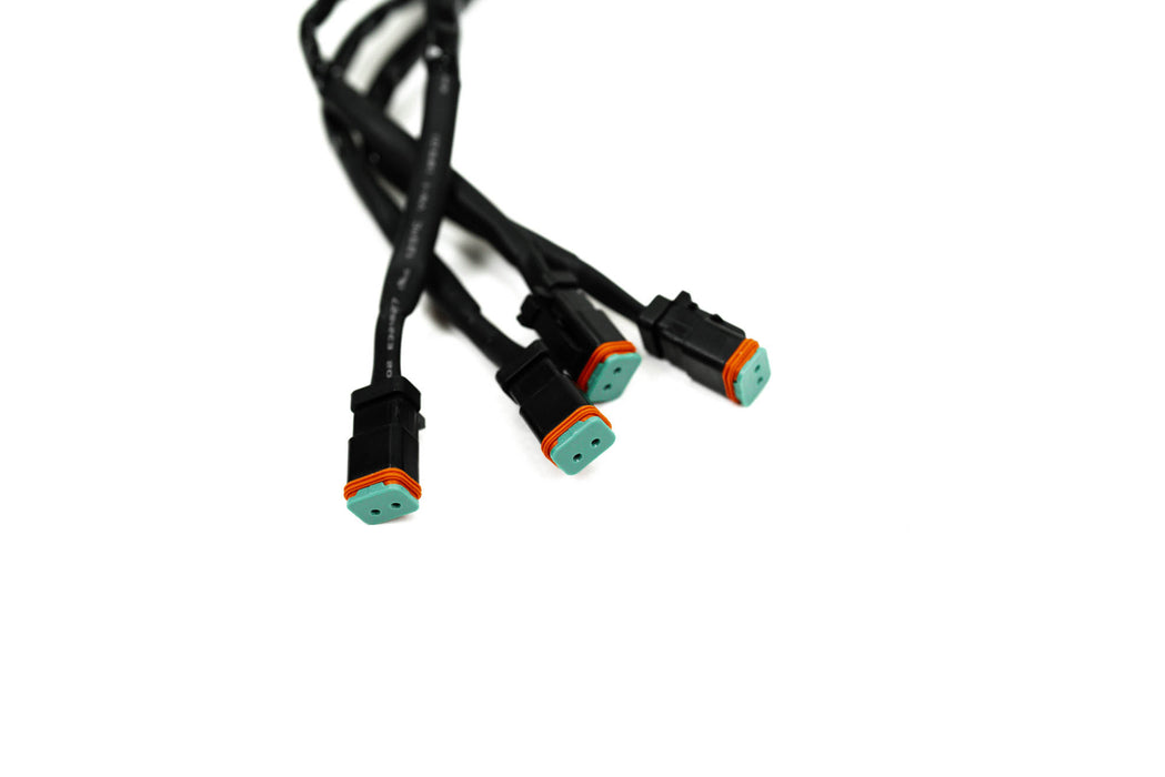 4-Way 1-DTP to 4-DTP Plug Harness